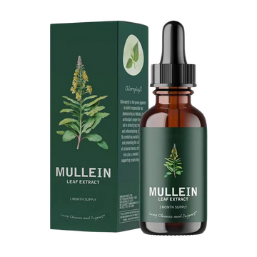 Gluten Free Mullein For Lung Health